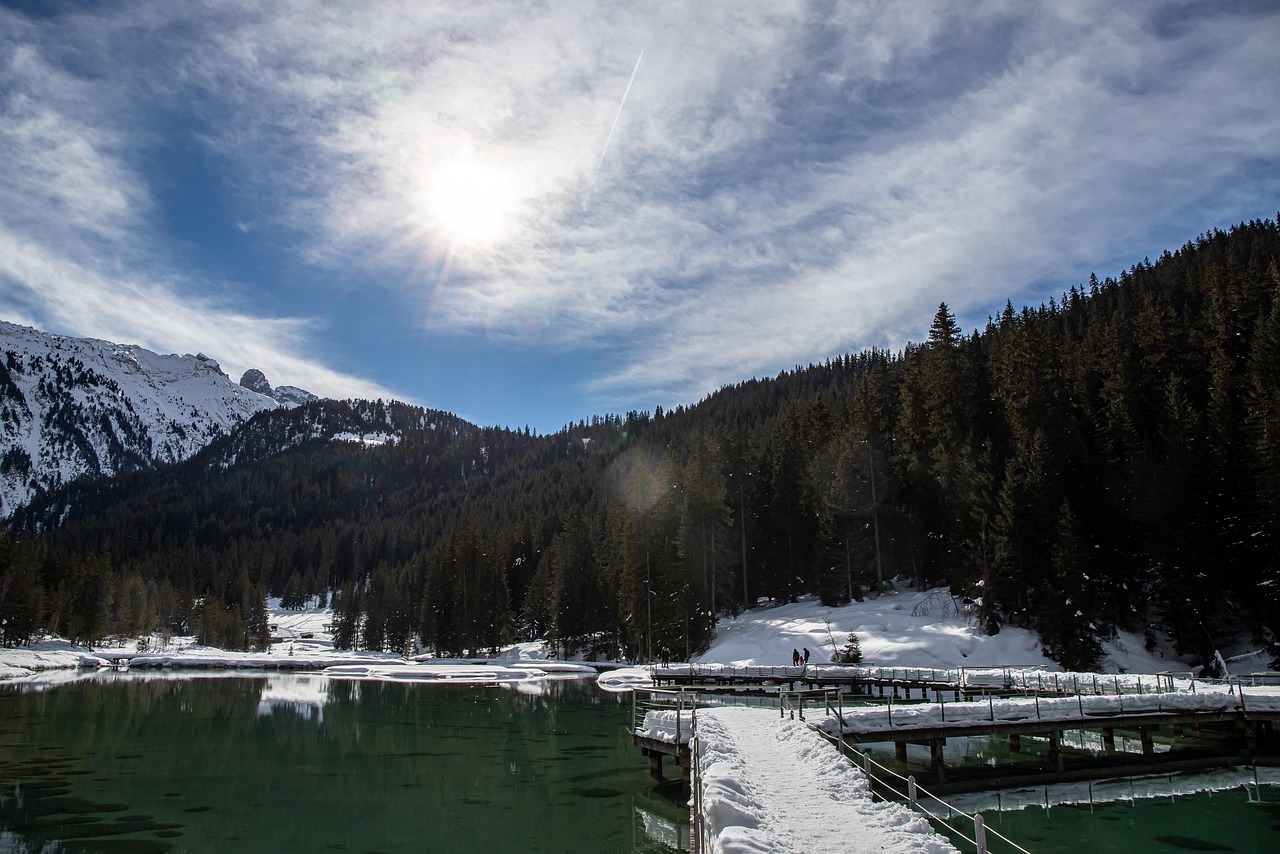 Parco naturale innevato con alberi incantati, che crea un'atmosfera da fiaba in inverno.